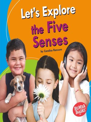 cover image of Let's Explore the Five Senses